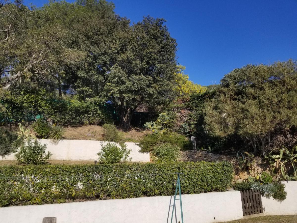 Villa La Louviere La Croix Valmer Golfe De Saint Tropez Exteriör bild